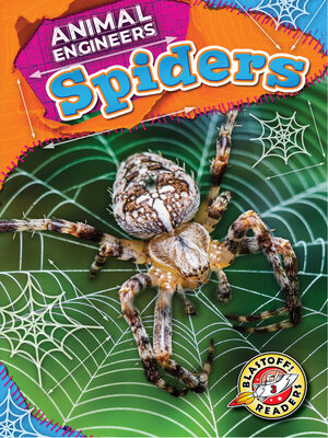 cover image of Spiders
